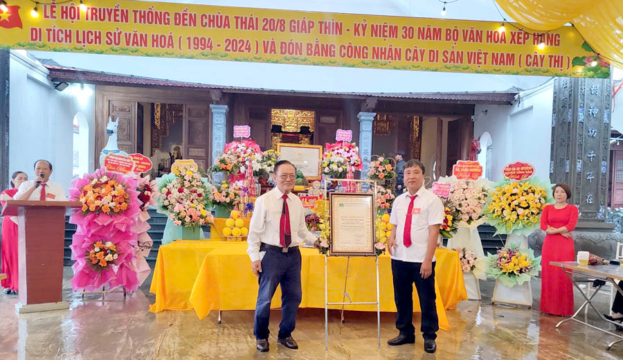 Cây[-]Thị[-]tại[-]đền[-]-[-]chùa[-]Thái,[-]thành[-]phố[-]Hải[-]Phòng[-]được[-]công[-]nhận[-]là[-]Cây[-]Di[-]sản[-]Việt[-]Nam